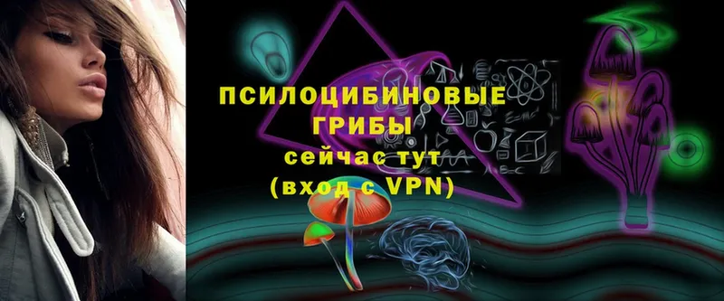 Галлюциногенные грибы Cubensis  Болхов 